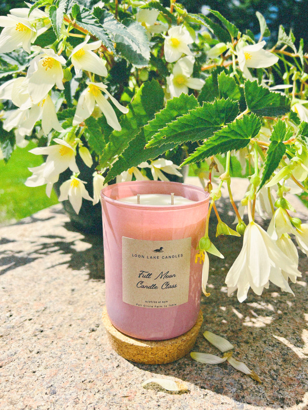 Full Moon Candle Class at Full Circle Farm to Table 6/29/26