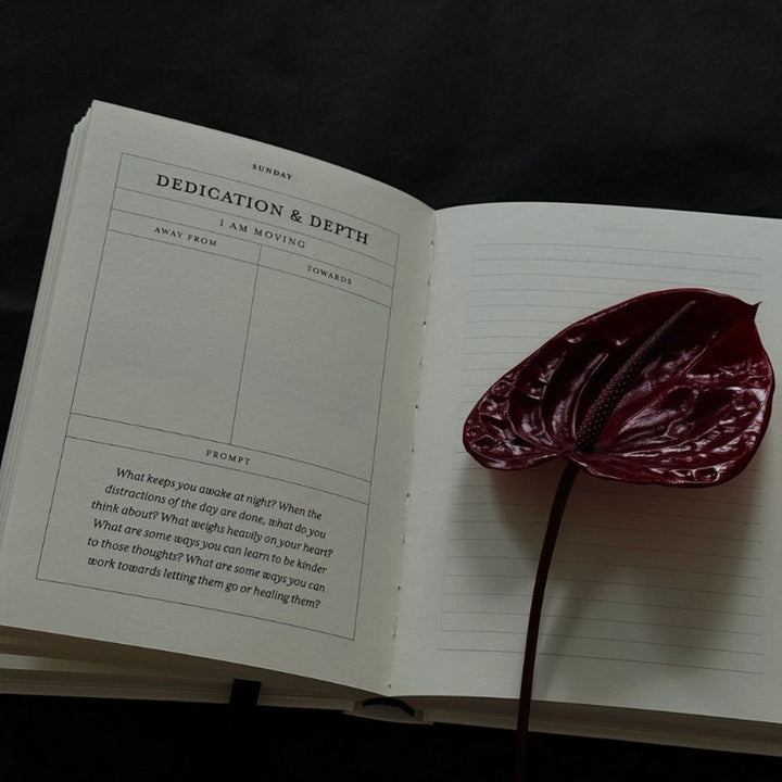 The Becoming Journal by Bianca Sparacino