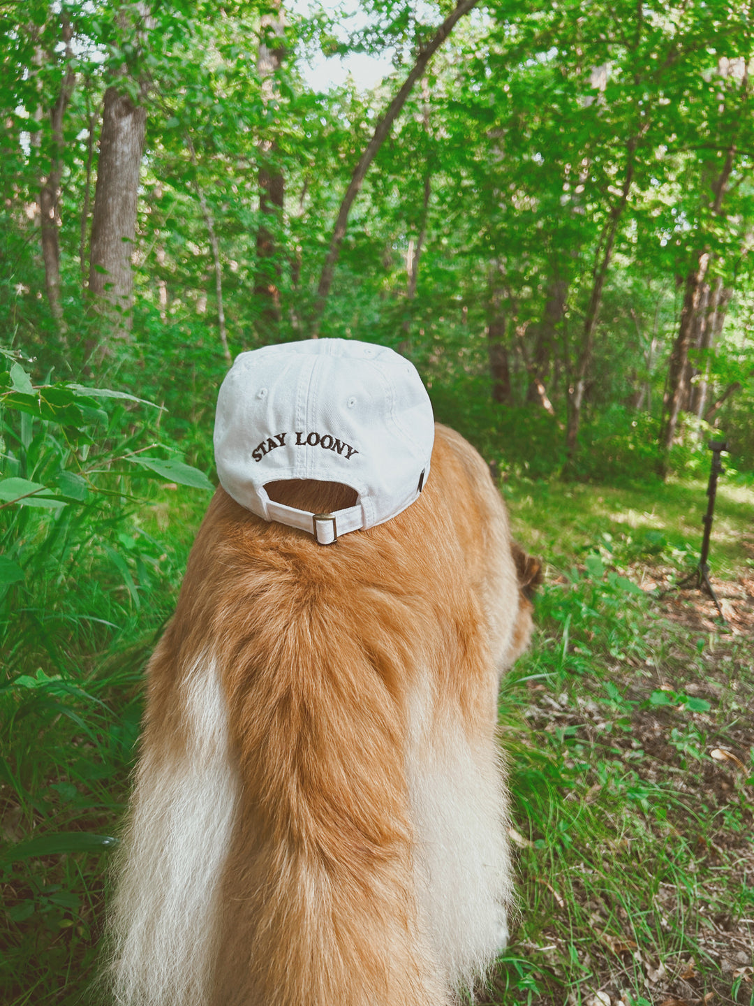 PRE-ORDER Stay Loony Baseball Cap